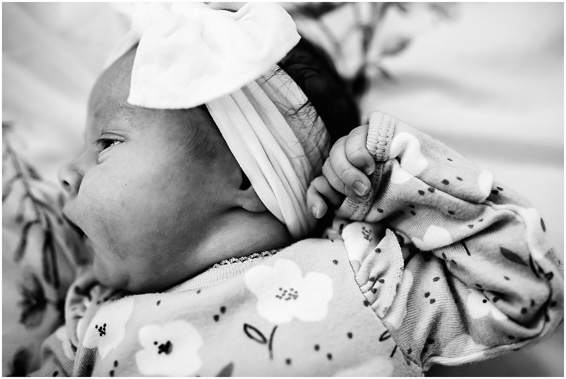 Sophia {13 Days} Maine and Connecticut Newborn and Family